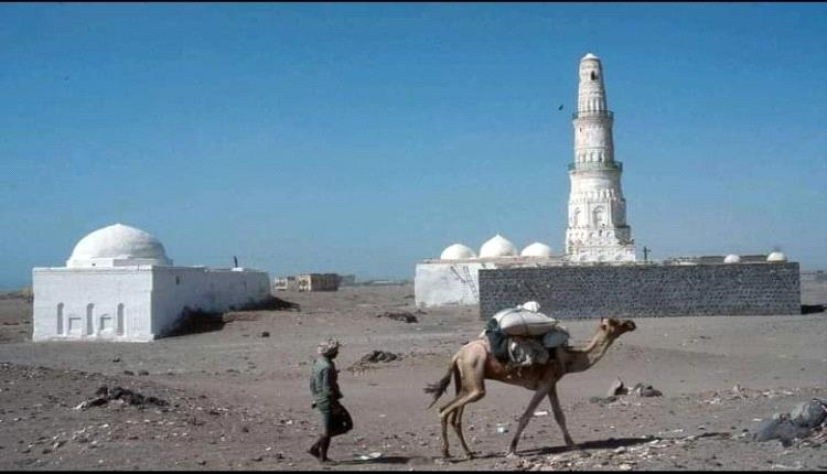 المخا..بين رائحة البن..ولون البحر..تاريخ وطن 