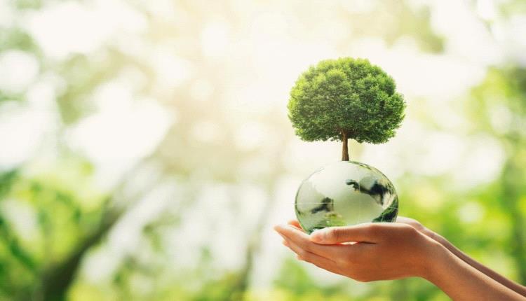 أفكار مشاريع مستدامة يزداد الإقبال عليها مستقبلاً
