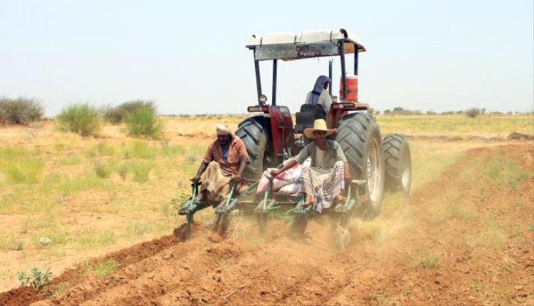 إنتاج الحبوب اليمنية.. تحديات زراعية وسط تفاقم أزمة البحر الأحمر.. تقرير
