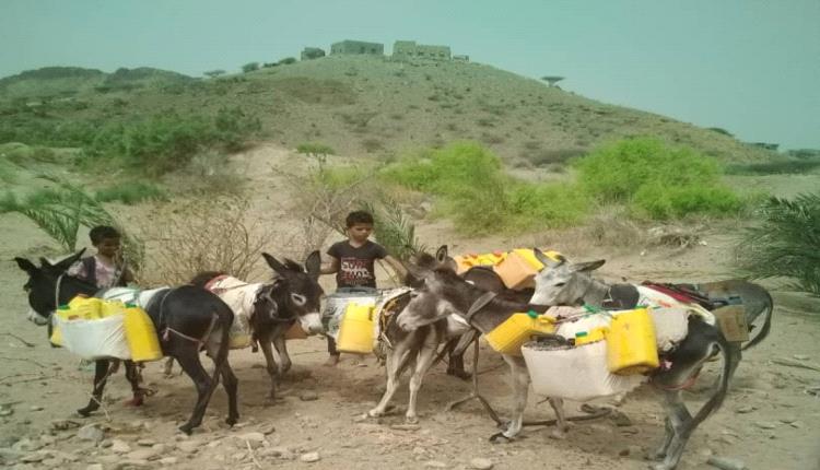 أهالي منطقة المجباء في لحج يوجهون نداء استغاثة للسلطات والقائد العام لدرع الوطن والمنظمات الإنسانية لإنقاذهم من أزمة المياه الخانقة