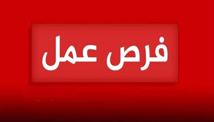 شركة تجارية مرموقة تعلن عن توفر فرص عمل لعدد من الشباب والشابات