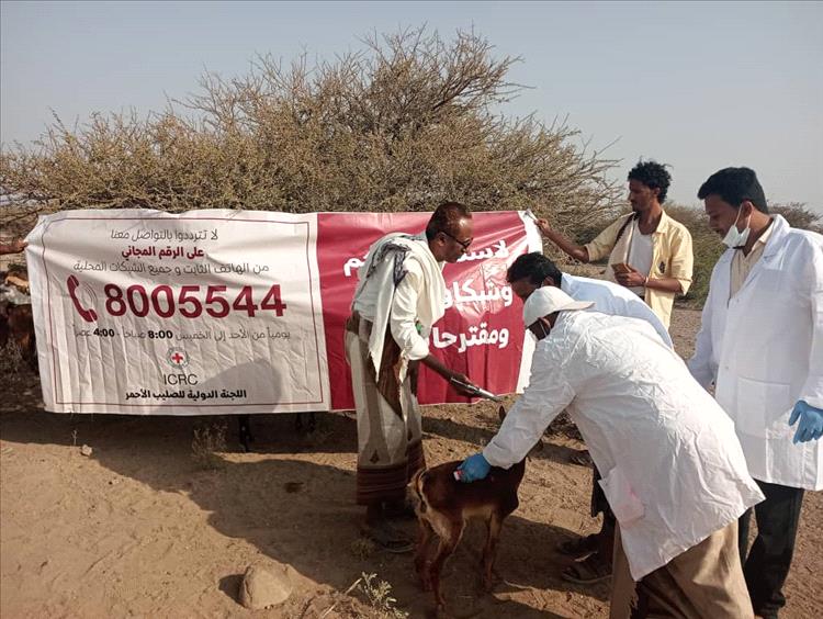 مدير عام موزع يدشن حملة تحصين الثروة الحيوانية ضد الجدري والطاعون