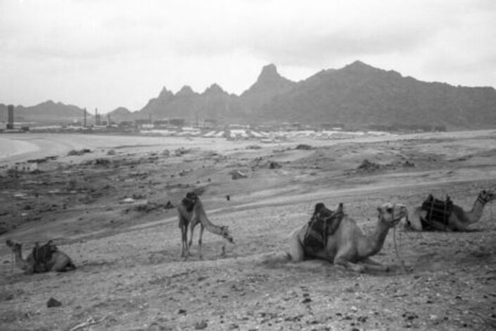 صفحات من تاريخ عدن .. مصفاة عدن ... المعلم الاقتصادي التاريخي