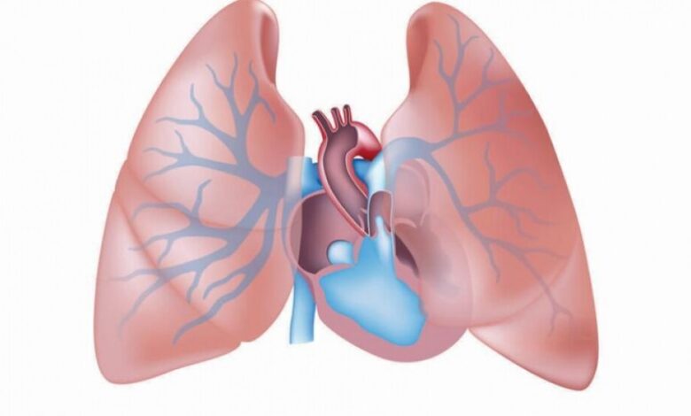 ارتفاع ضغط الدم في الرئة... مخاطره تهدد كل الأعمار