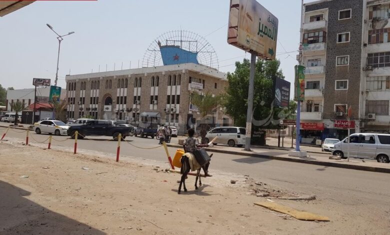 الأهالي بعدن يطالبون السلطات بضبط حركة (الحمير) في المدينة