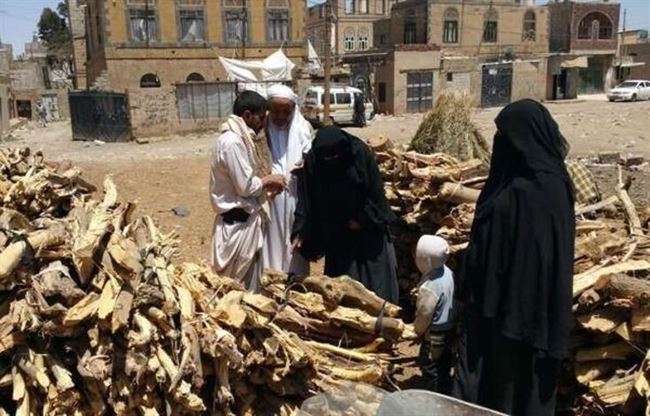 كارثة الاحتطاب في اليمن تستنزف الغطاء النباتي!