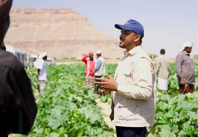 كيف تُحدث تقنيات الري الحديثة تحولاً في قطاع الزراعة في اليمن